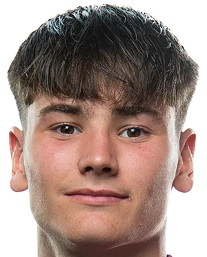 米克尔·桑托斯